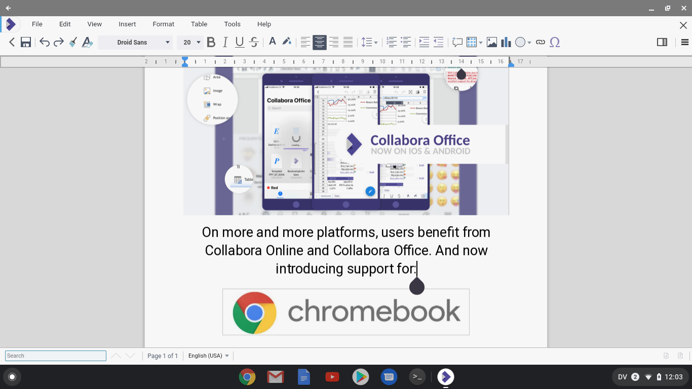 install office on linux chromebook